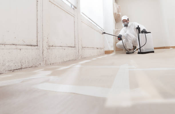 24/7 Emergency Mold Removal experts in Hampton, MN